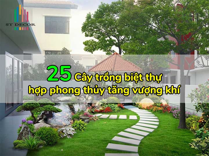 Top 25 Cây Trồng Biệt Thự Đẹp Hợp Phong Thủy Cho Bóng Mát